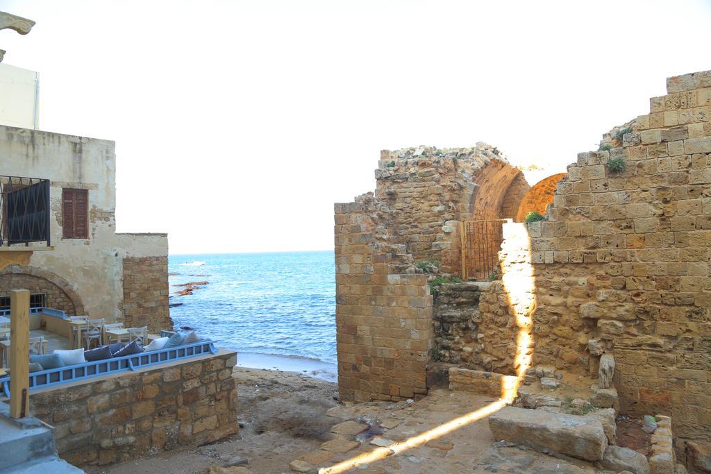 فندق دار ألما صور المظهر الخارجي الصورة